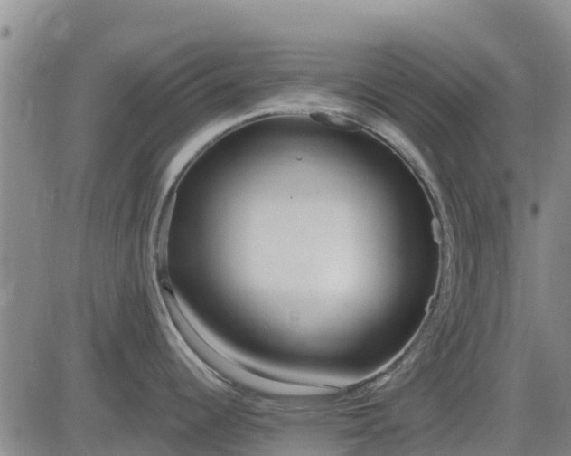 X0000083531344200702161903