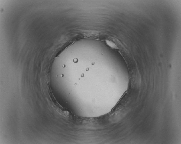 X0000083531345200702161902