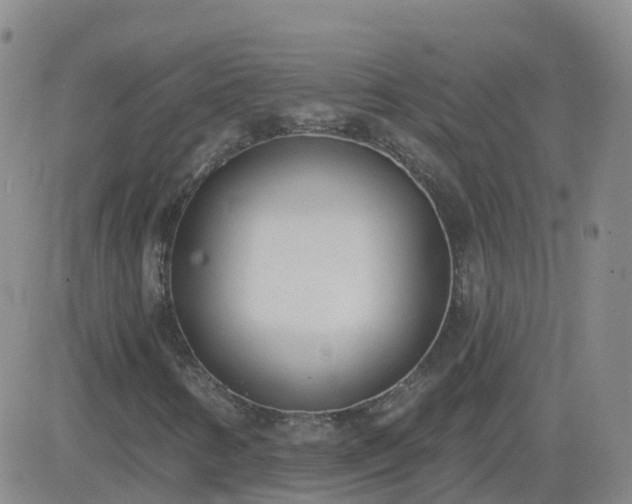 X0000083531346200702161902