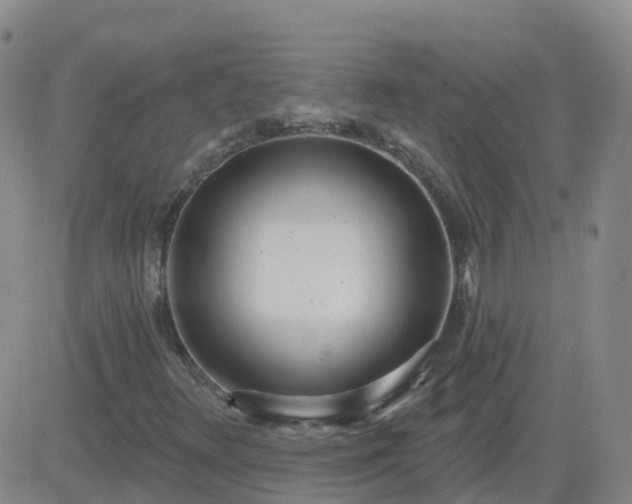 X0000083531348200702161902