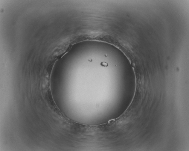 X0000083531349200702161902