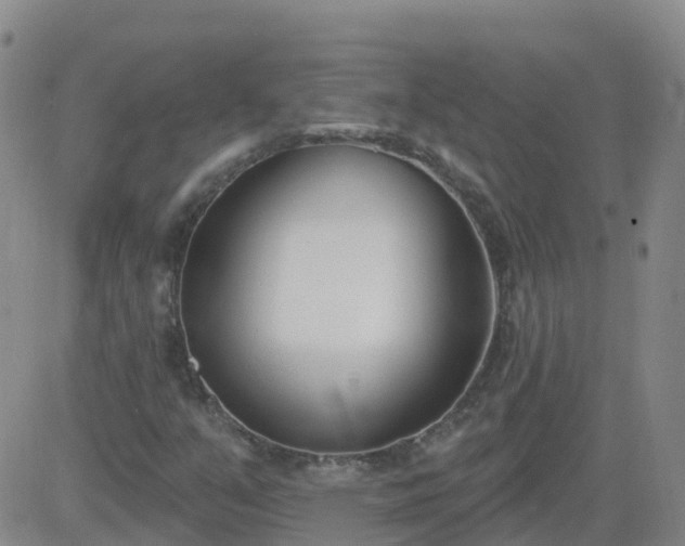 X0000083531351200702161902