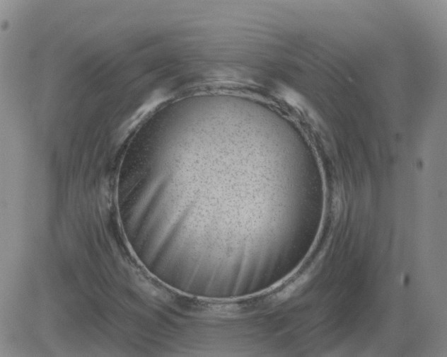 X0000083531353200702161902