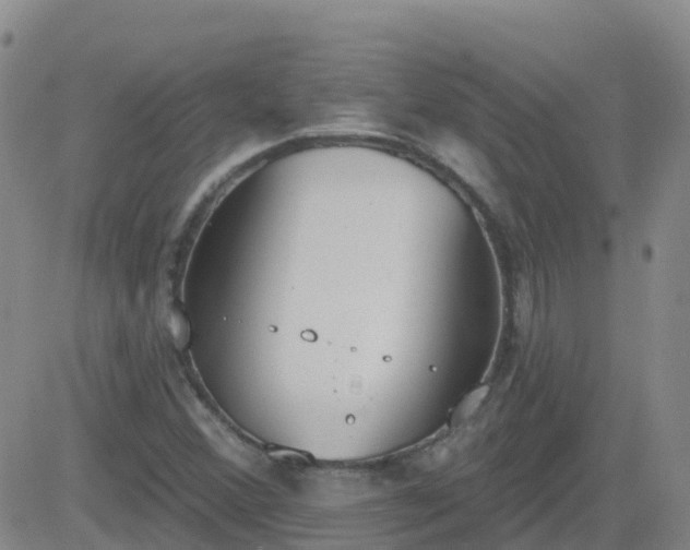 X0000083531356200702161902