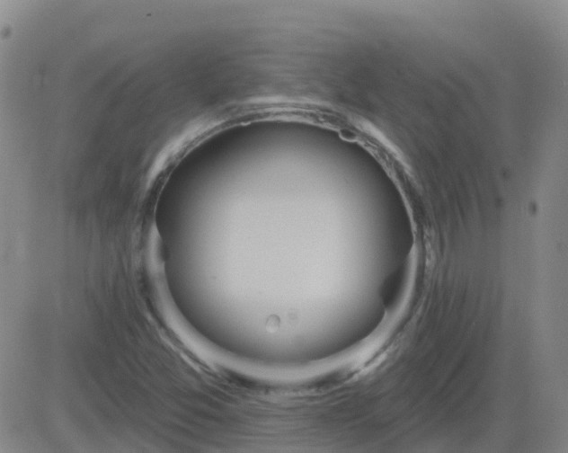 X0000083531357200702161902