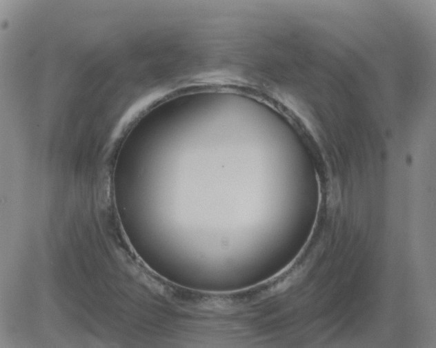 X0000083531358200702161902