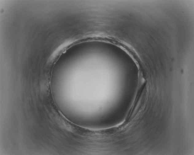 X0000083531359200702161902