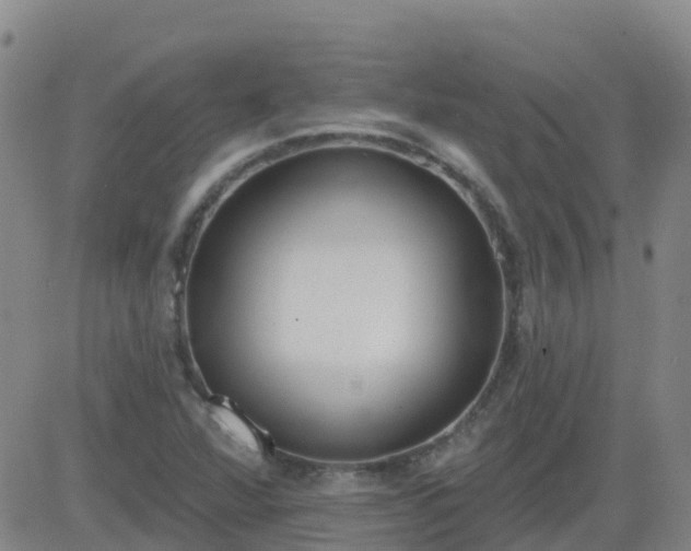 X0000083531360200702161902