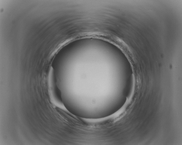 X0000083531361200702161902