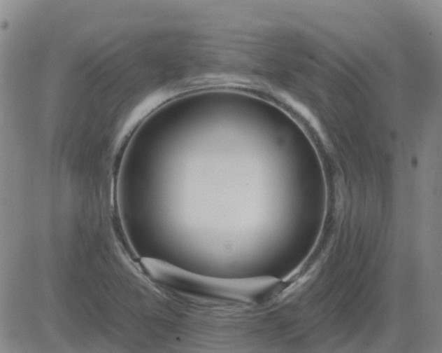 X0000083531365200702161902