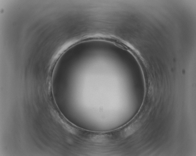 X0000083531367200702161901