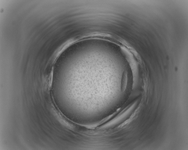 X0000083531369200702161901