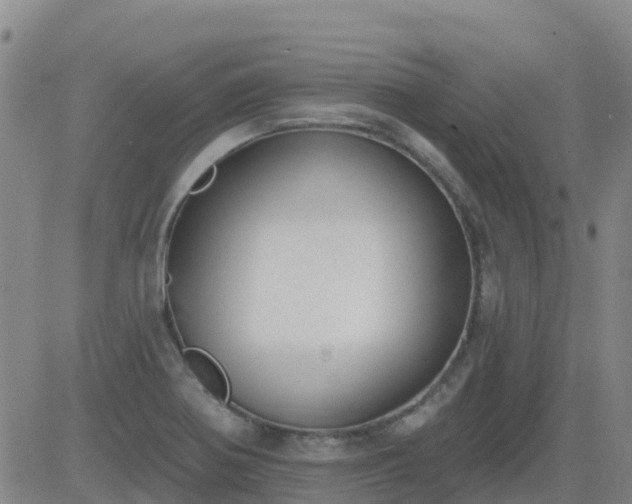 X0000083531370200702161901