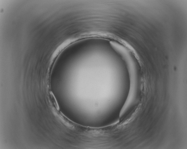 X0000083531373200702161901