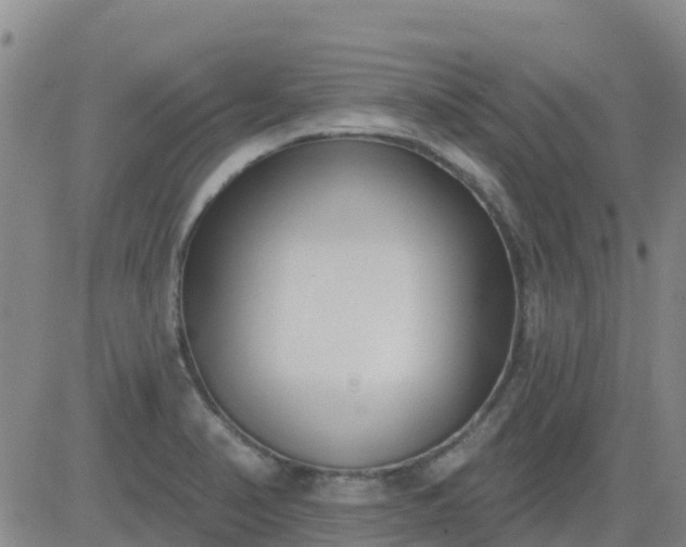 X0000083531374200702161901