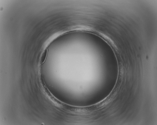 X0000083531375200702161901