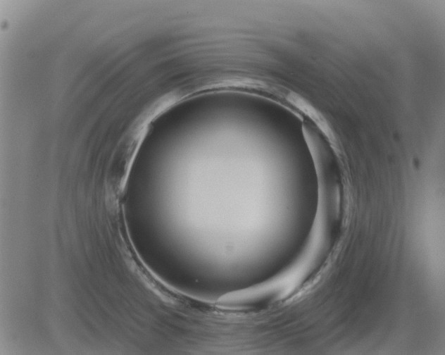 X0000083531377200702161901