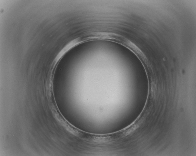 X0000083531378200702161901