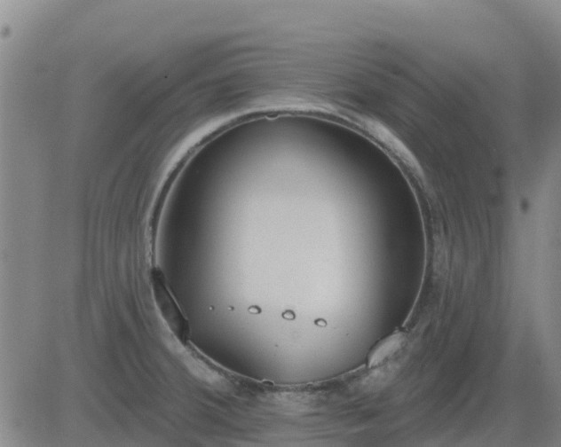 X0000083531380200702161901