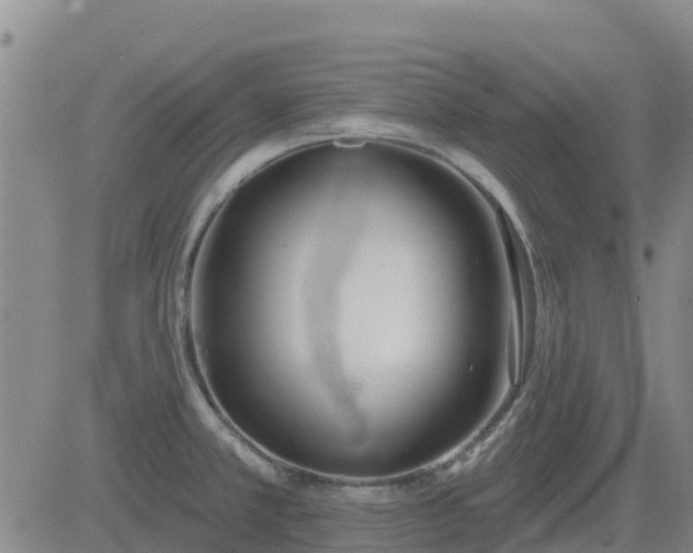 X0000083531381200702161901