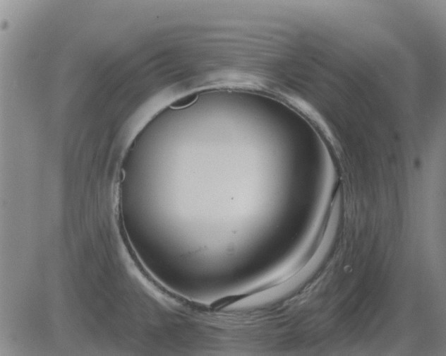 X0000083531383200702161901