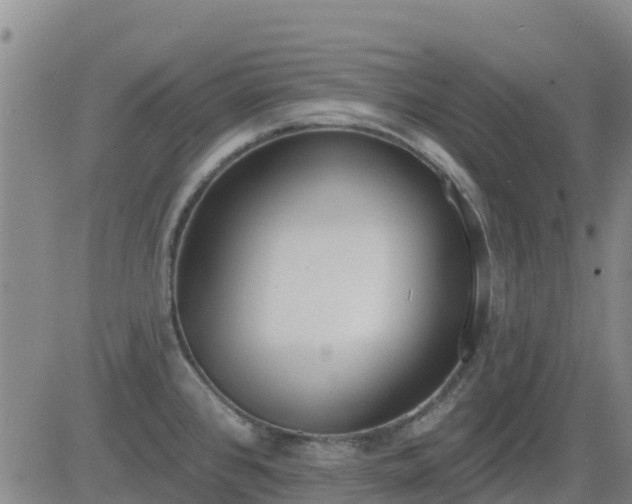 X0000083531384200702161901