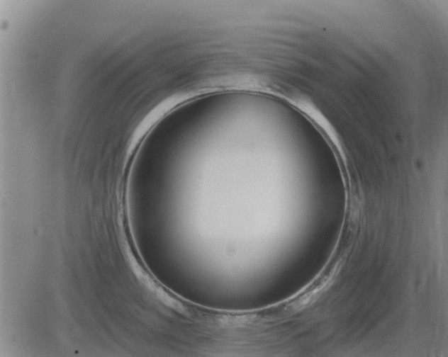 X0000083531389200702161901