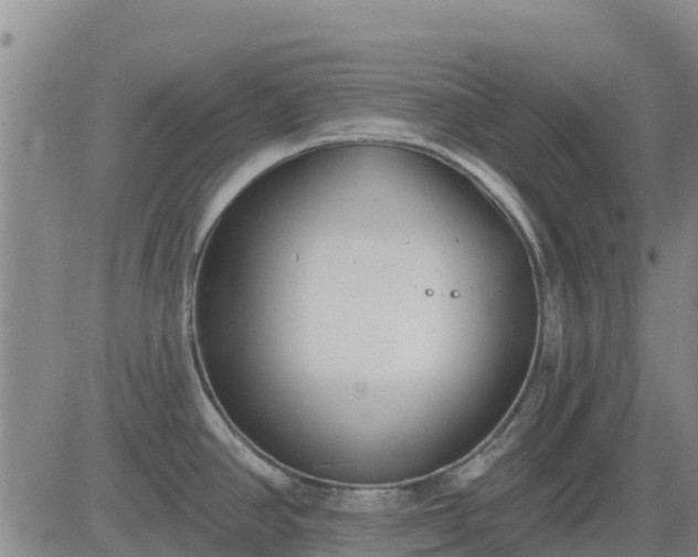 X0000083531390200702161901