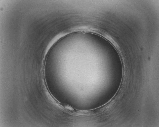 X0000083531392200702161901