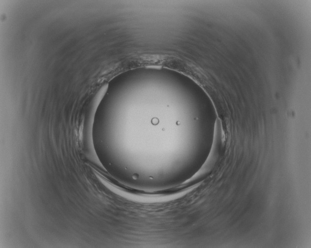 X0000083531394200702161900