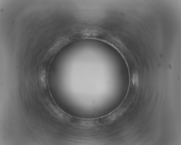 X0000083531396200702161900