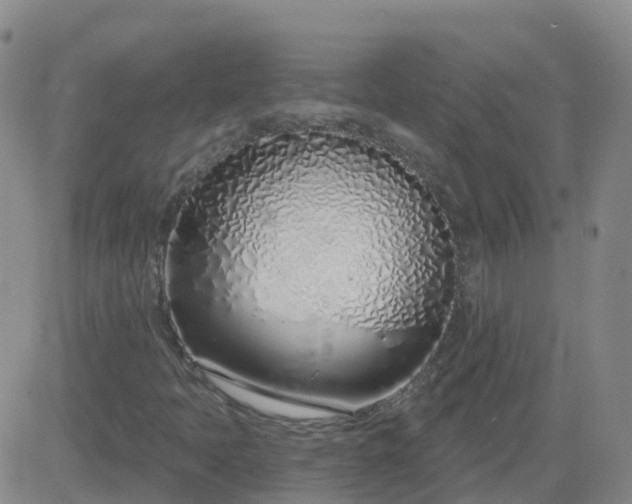 X0000083531397200702161900