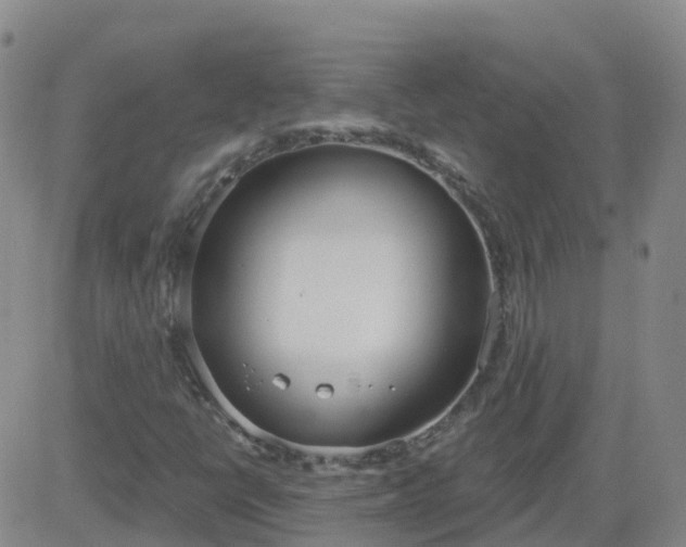 X0000083531398200702161900