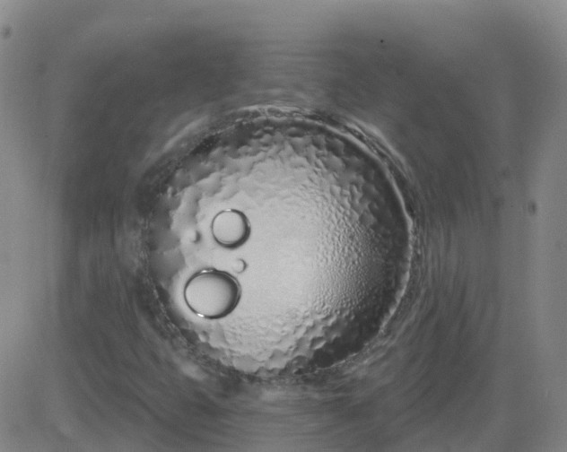 X0000083531399200702161900