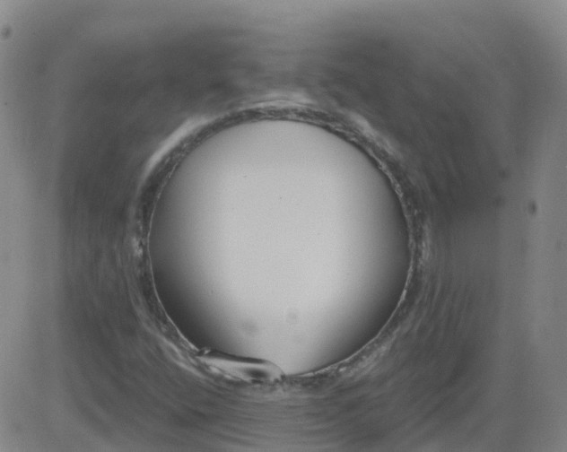 X0000083531400200702161900