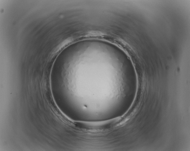 X0000083531401200702161900