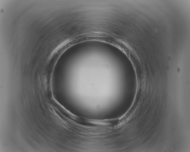 X0000083531402200702161900