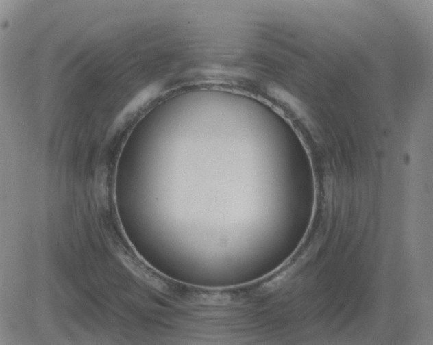 X0000083531403200702161900