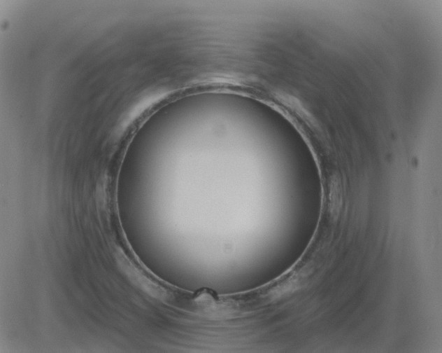 X0000083531404200702161900