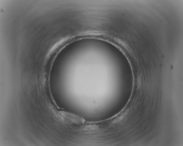 X0000083531406200702161900