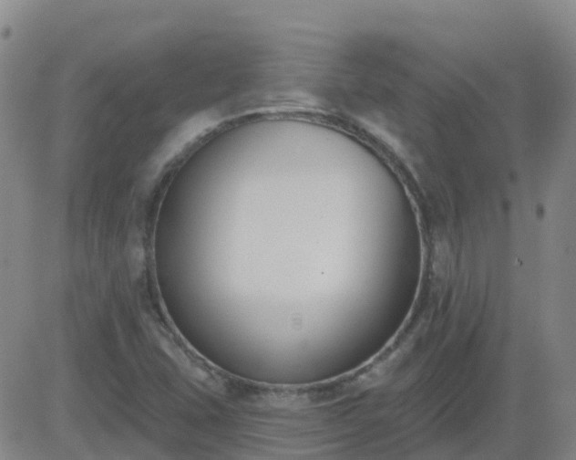 X0000083531407200702161901