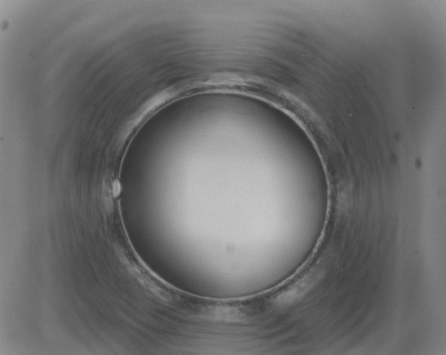 X0000083531409200702161901