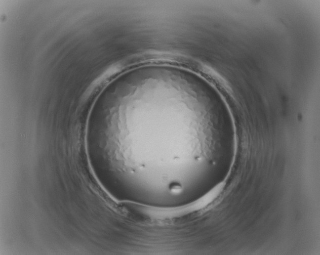 X0000083531411200702161901