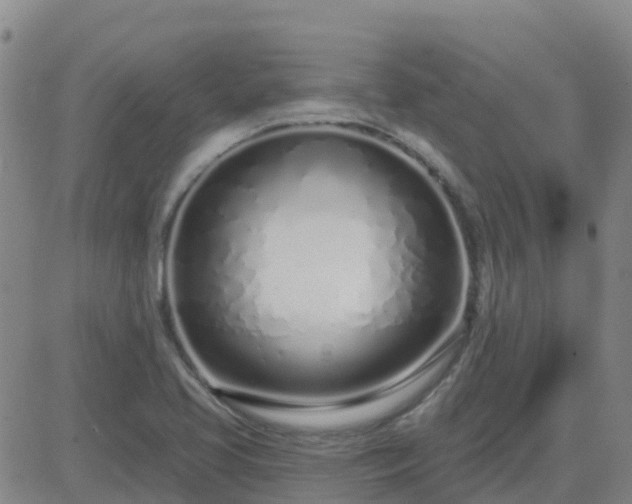 X0000083531413200702161901