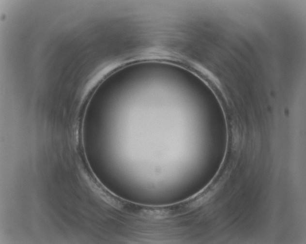 X0000083531415200702161901