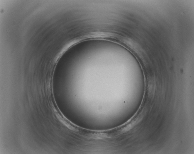 X0000083531417200702161901