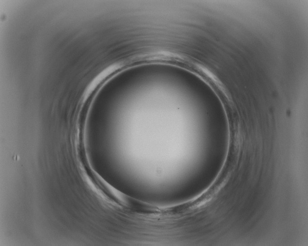 X0000083531418200702161901