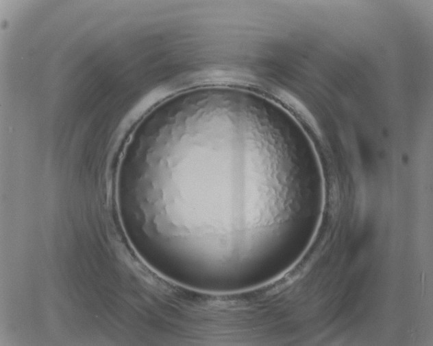 X0000083531419200702161901