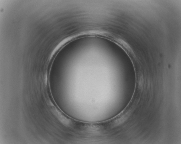 X0000083531420200702161901