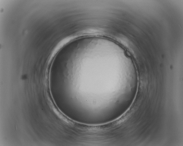 X0000083531421200702161901